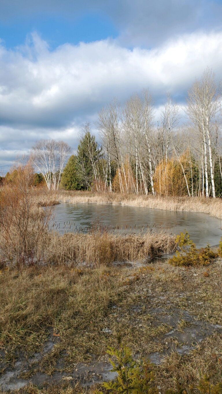 20221204 122340 768x1366