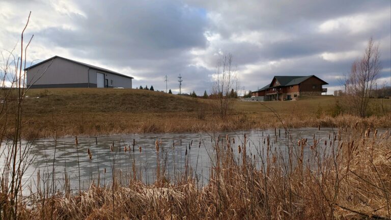 20221204 122434 768x432