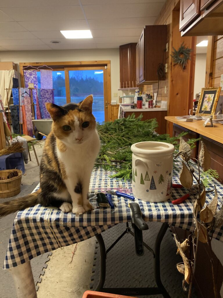 69214041227  789E675E 3CB0 4355 B13F 517E33262C0E 768x1024