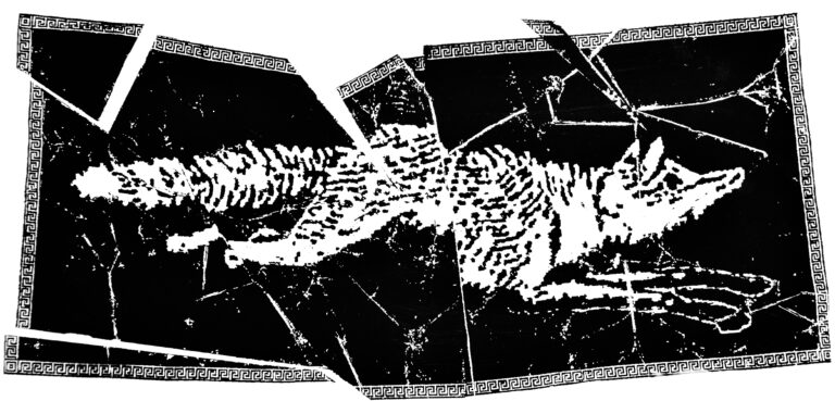 LogoSplinter voor app 768x369