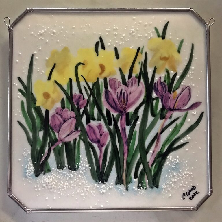 Wood C Crocus and Daffodils In Snow 768x768