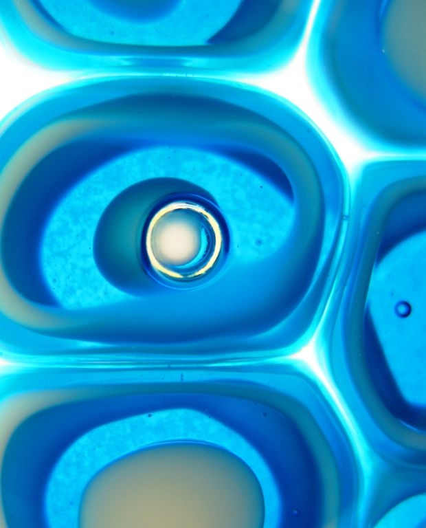 laurie spieker blue burl detail kilnformed murrinecane